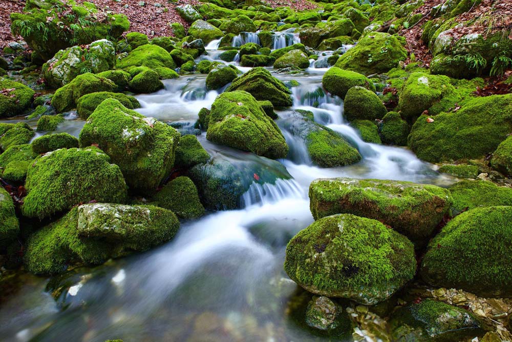 Cycle de l'eau